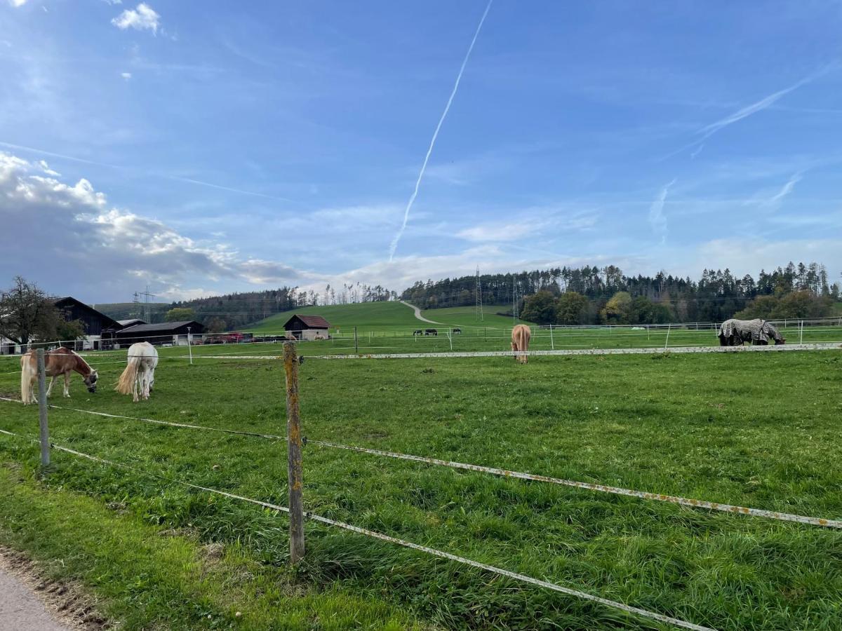 Ferien Im Schwarzwald - Ruhe & Naturverbunden Weilheim Exterior photo