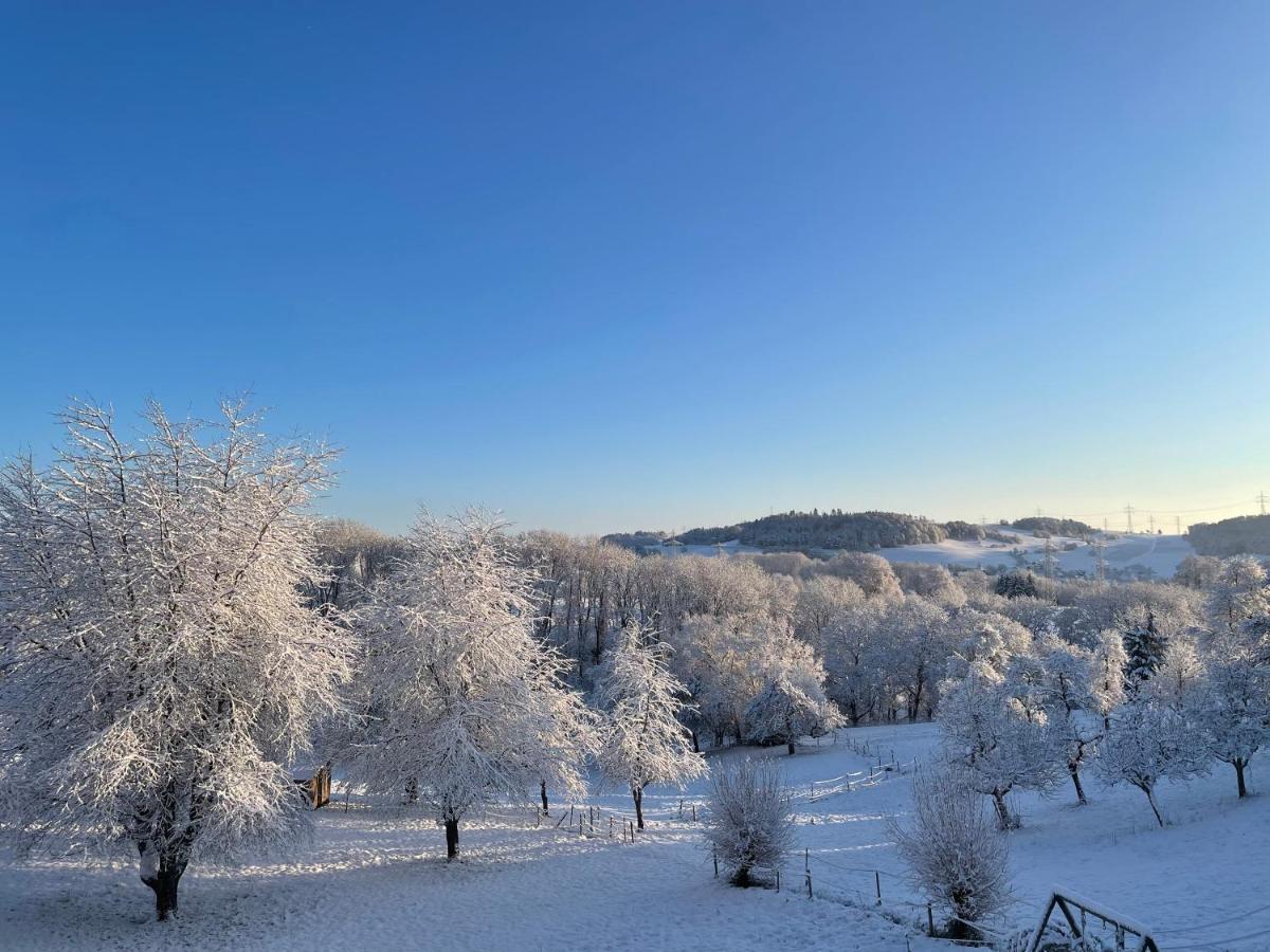 Ferien Im Schwarzwald - Ruhe & Naturverbunden Weilheim Exterior photo