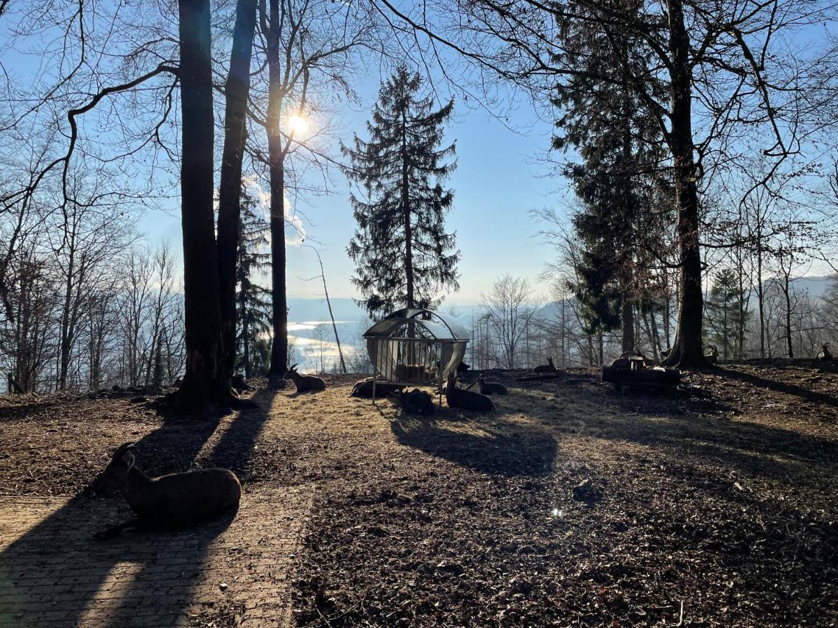 Ferien Im Schwarzwald - Ruhe & Naturverbunden Weilheim Exterior photo